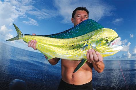 seychelles fishing holidays|Big Game Fishing Holiday in Seychelles with Experts.